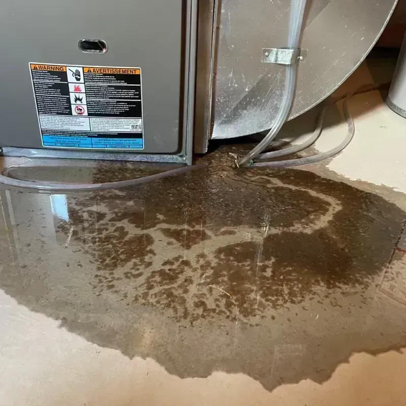 Appliance Leak Cleanup in Menard, TX